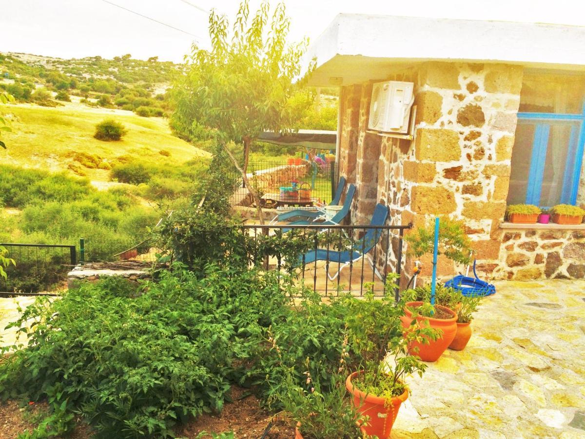 Alterna Koey Evi Casa de hóspedes Ayvacik Exterior foto