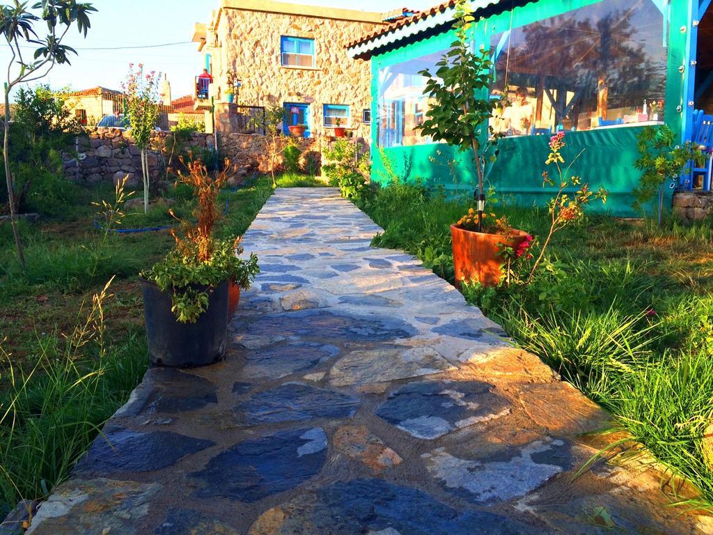 Alterna Koey Evi Casa de hóspedes Ayvacik Exterior foto
