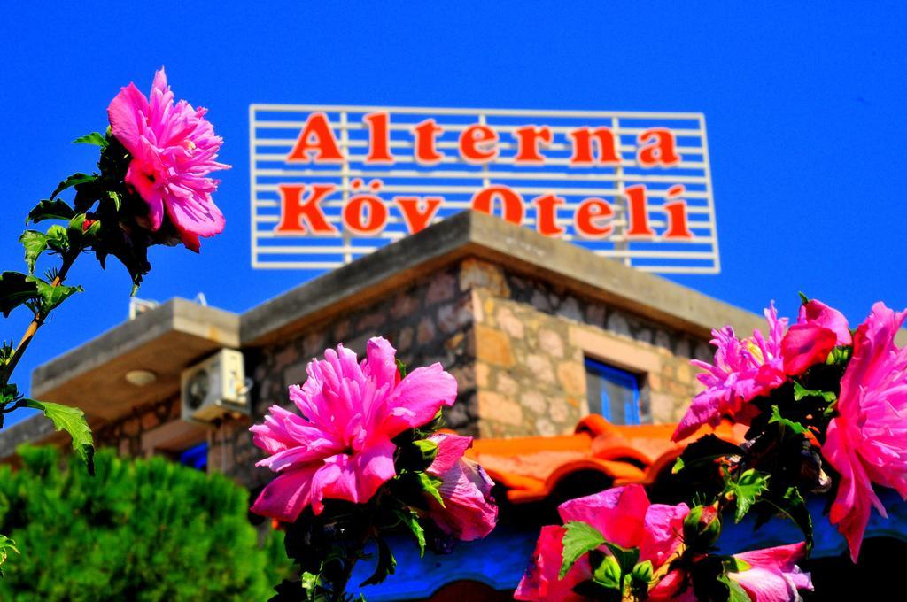 Alterna Koey Evi Casa de hóspedes Ayvacik Exterior foto