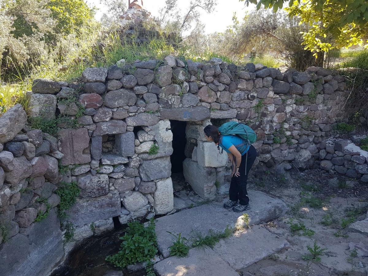 Alterna Koey Evi Casa de hóspedes Ayvacik Exterior foto
