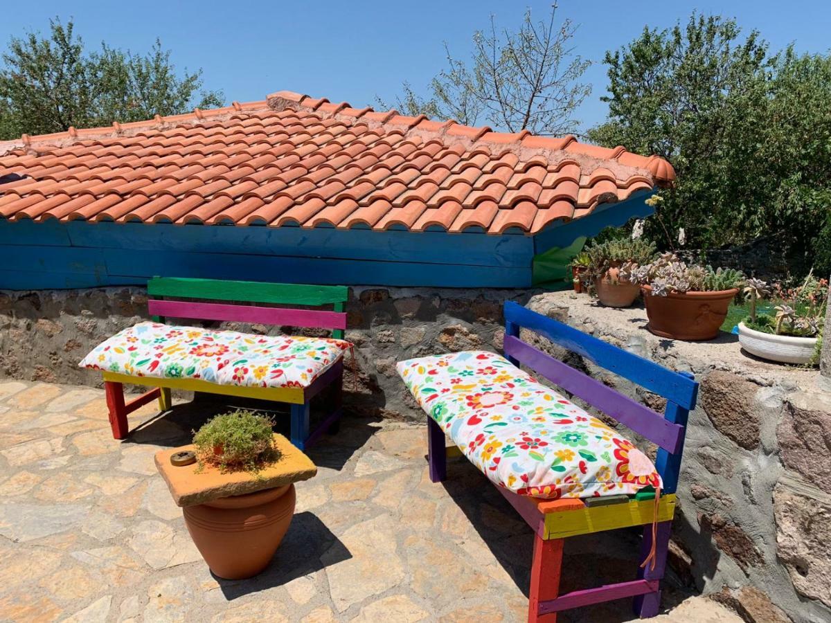 Alterna Koey Evi Casa de hóspedes Ayvacik Exterior foto