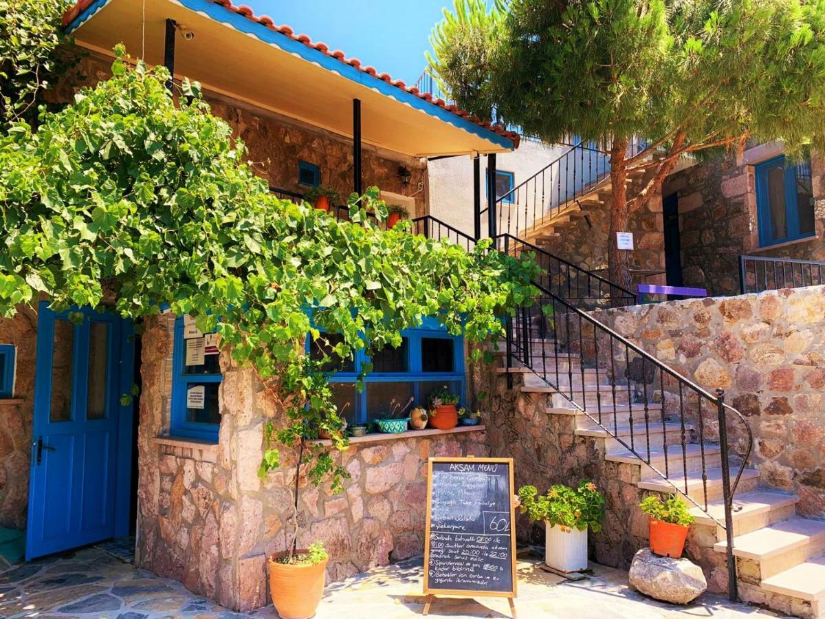 Alterna Koey Evi Casa de hóspedes Ayvacik Exterior foto